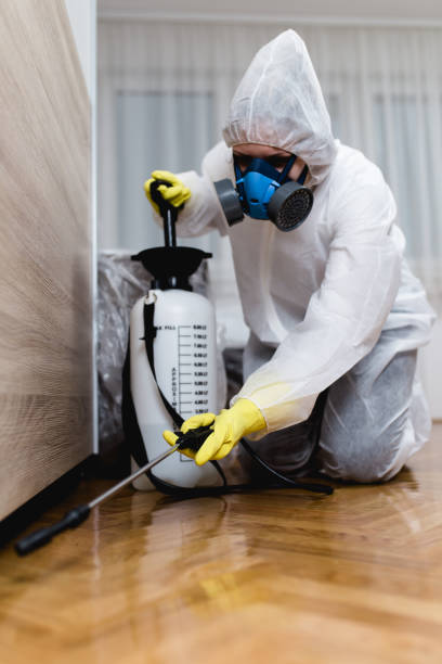 Best Residential Pest Control  in Bourg, LA